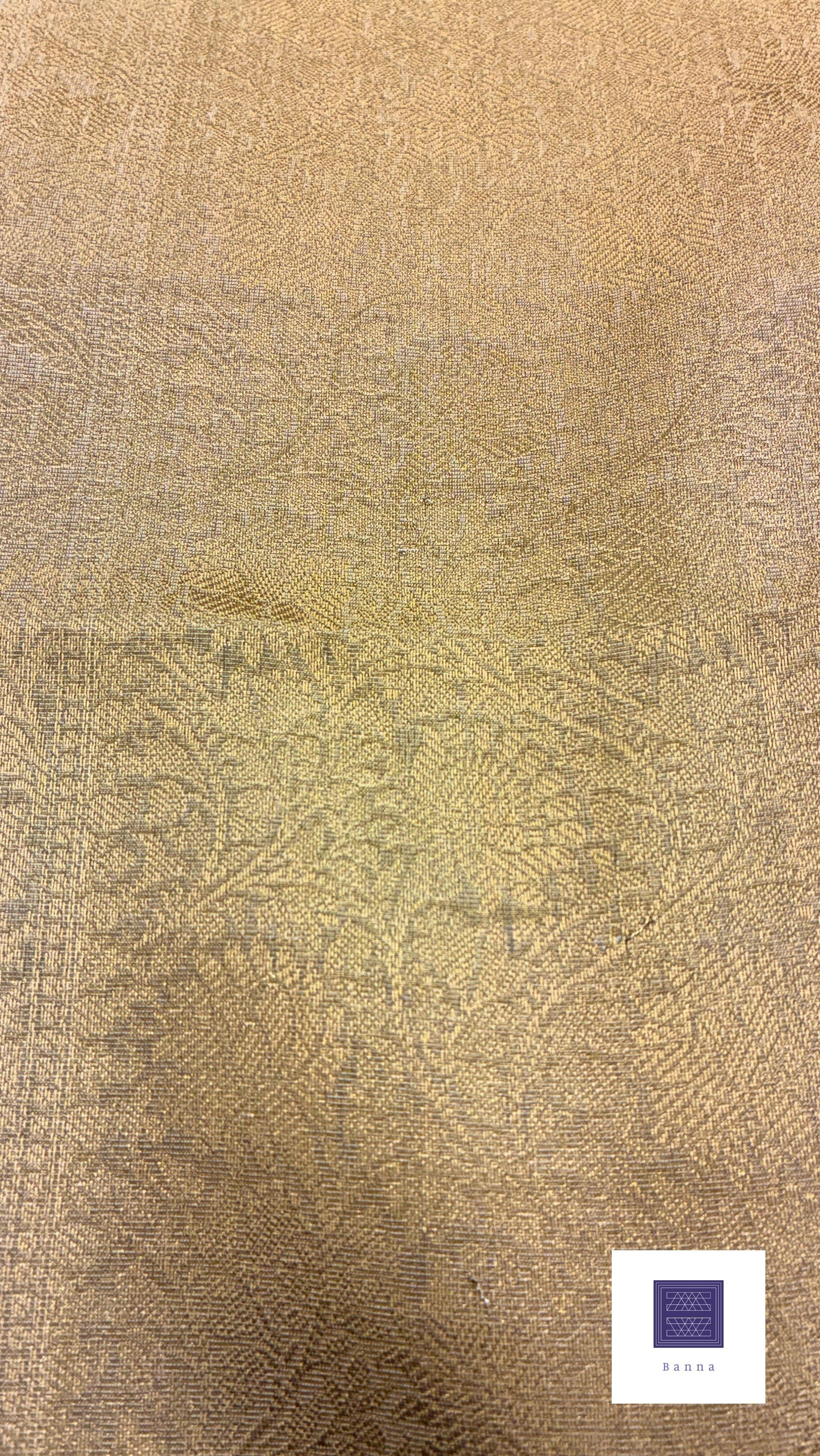 Tissue Silk woven traditional Banarasi saree - Cream