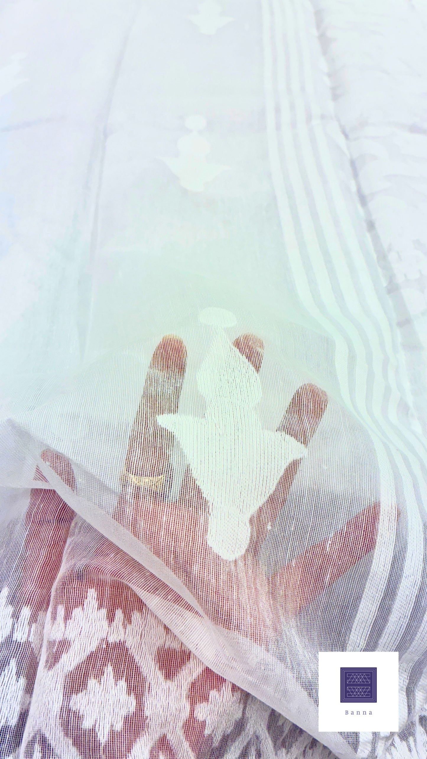 Jamdhani Cotton Saree - Solid White