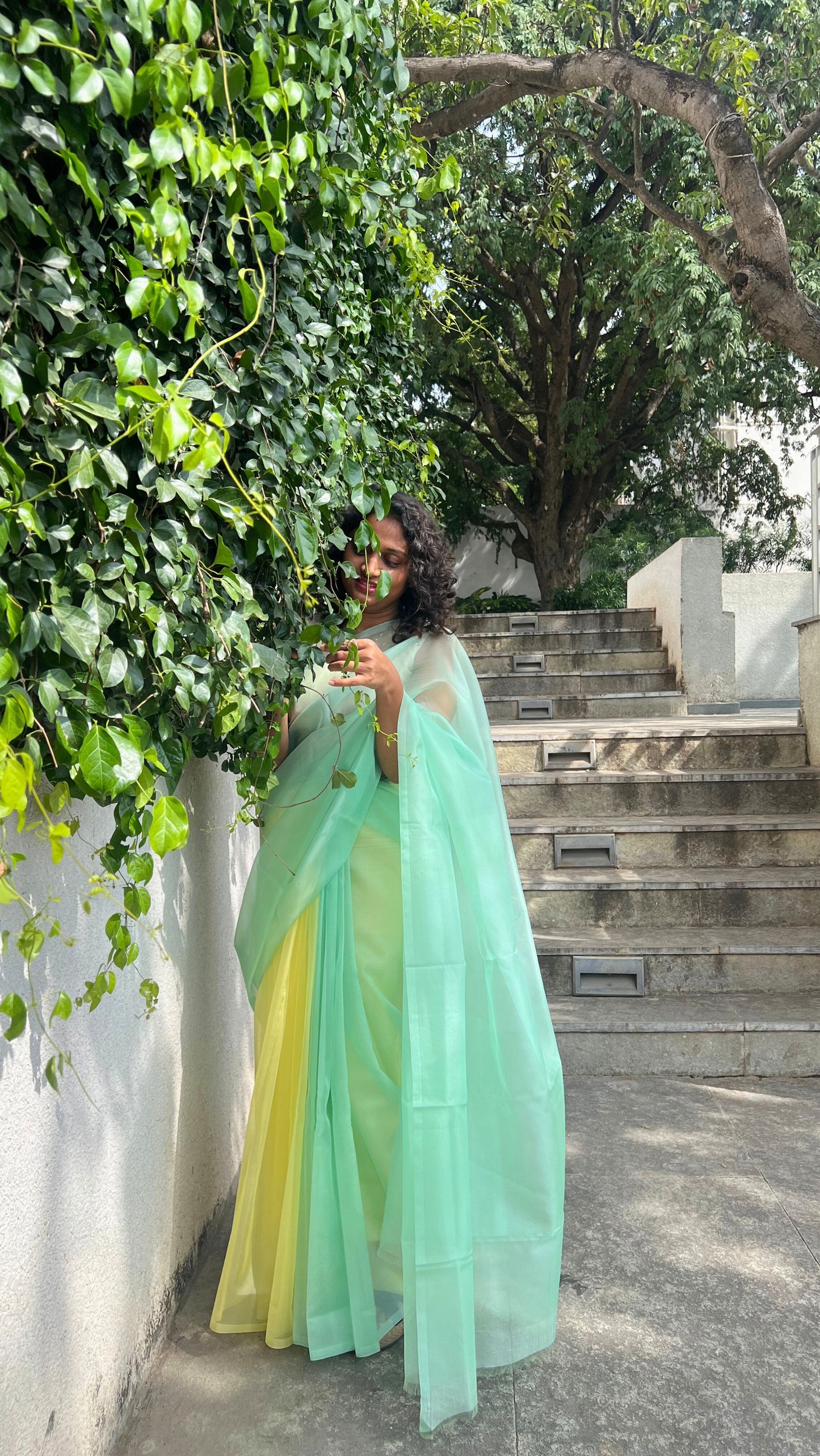 Ruby blossom - Banna's signature organza saree