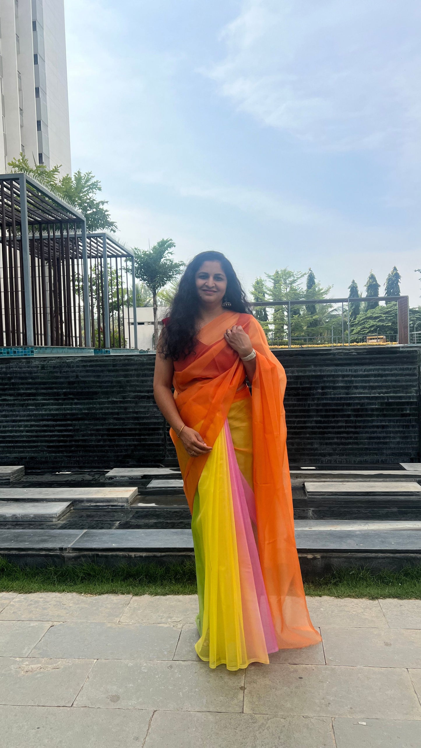 Colorful Butterfly - Banna's signature organza saree