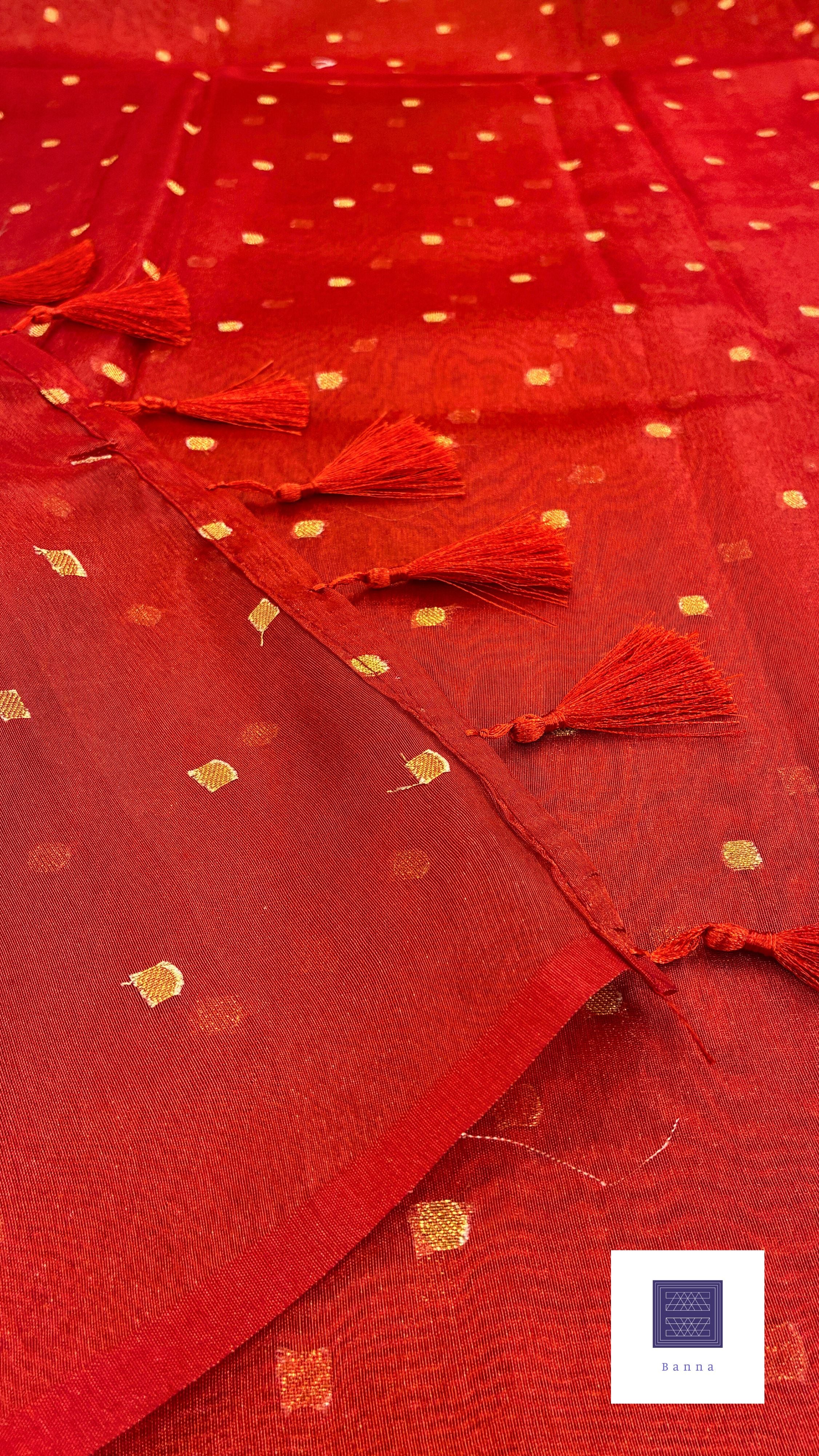 Banna Signature Simple Tissue Saree - Red
