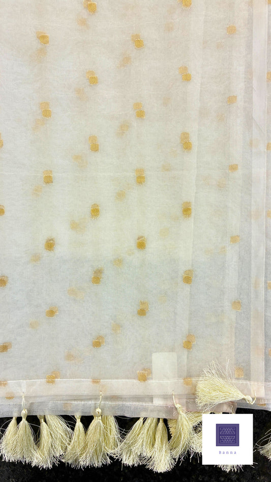 So elegant simple organza saree - White