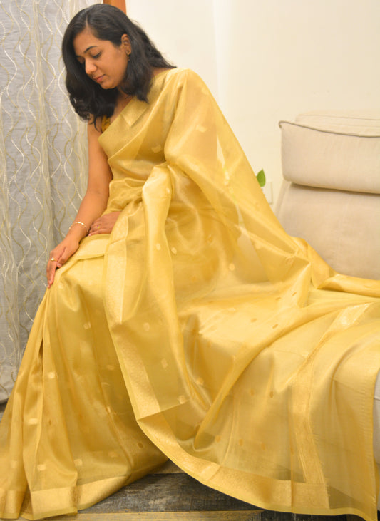 Banna’s Tissue Saree - Yellow
