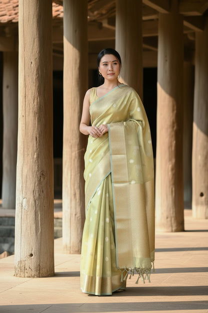 Glam tissue saree with Meena buttas - Pastel green
