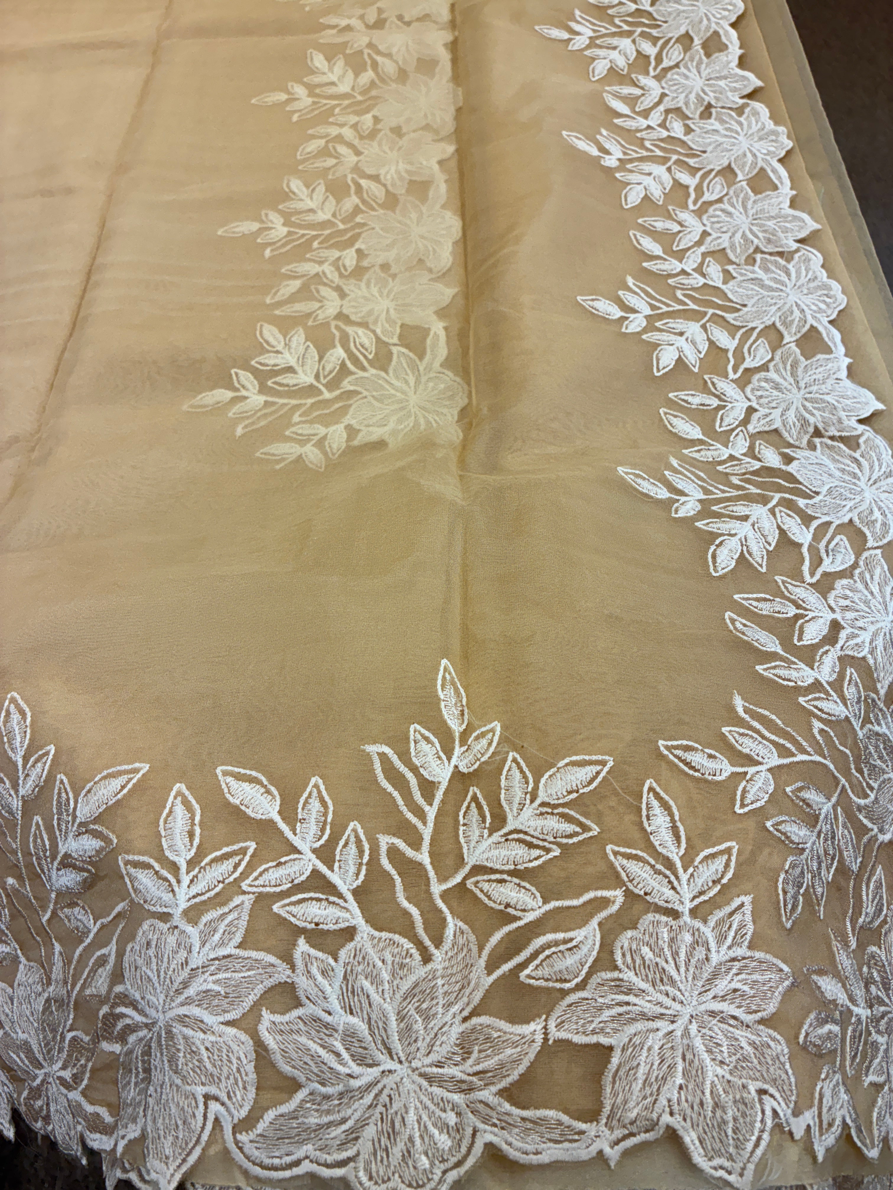 Beige Rose organza saree with cut work - Beige