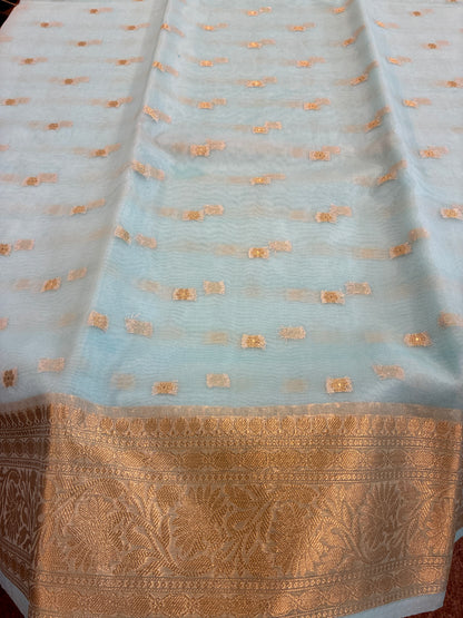 Banarasi Organza saree - Sky Blue