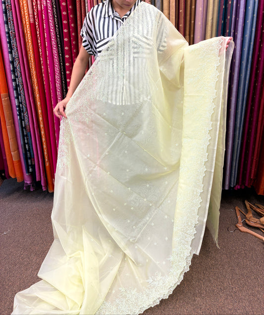 Pastel Lime Green cut work and embroidery floral Saree
