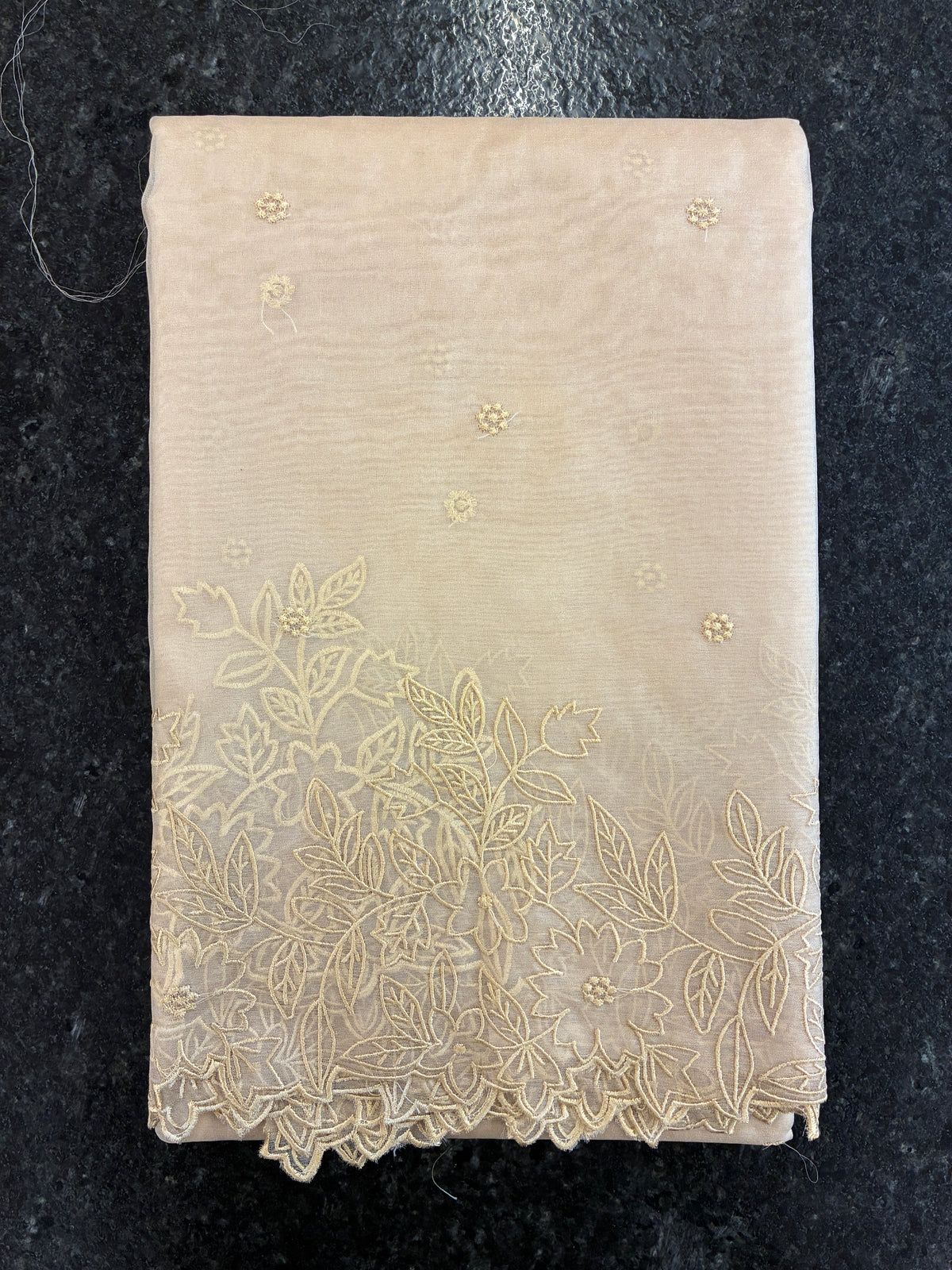 Pastel Beige cut work and embroidery floral Saree