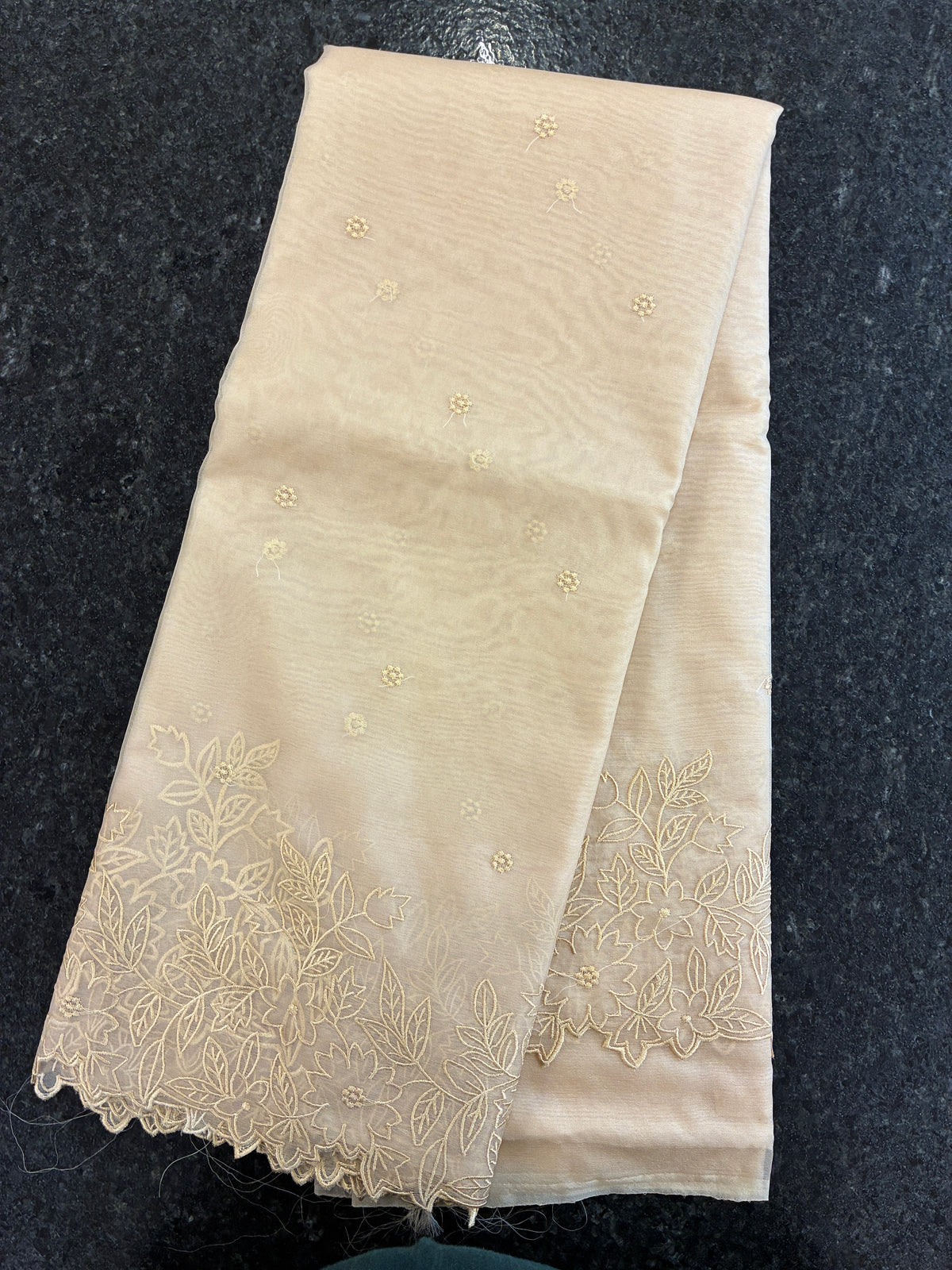 Pastel Beige cut work and embroidery floral Saree